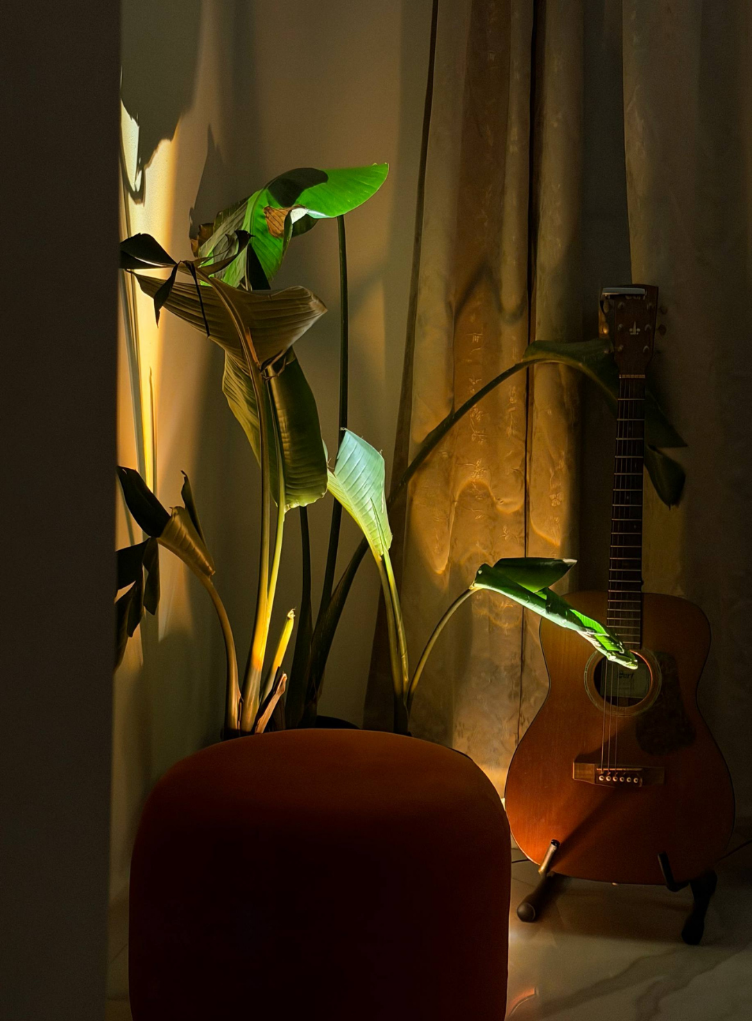 Artwork — Night lighting