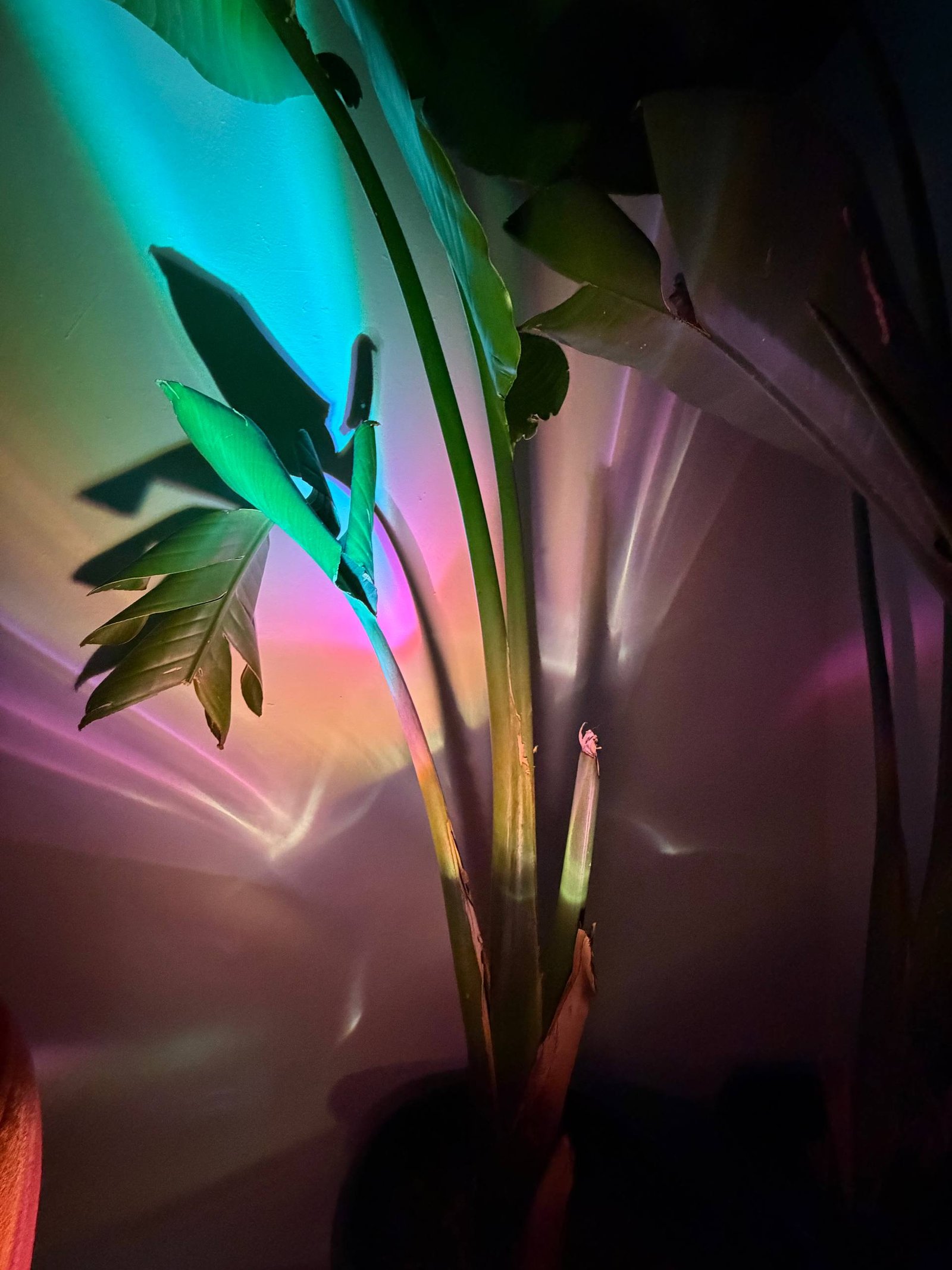 Light Room visual second