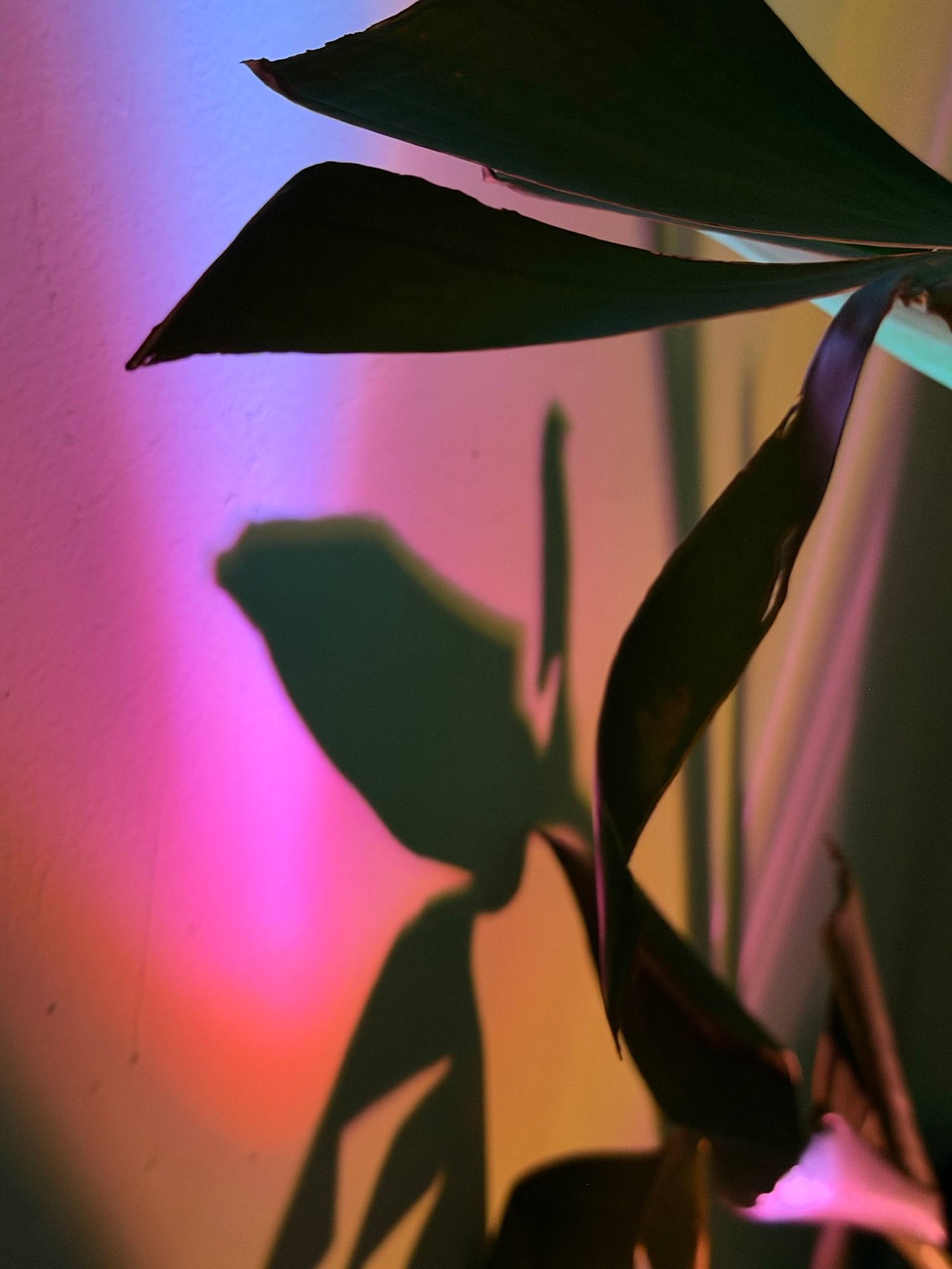 Light Object 1 - Image 9