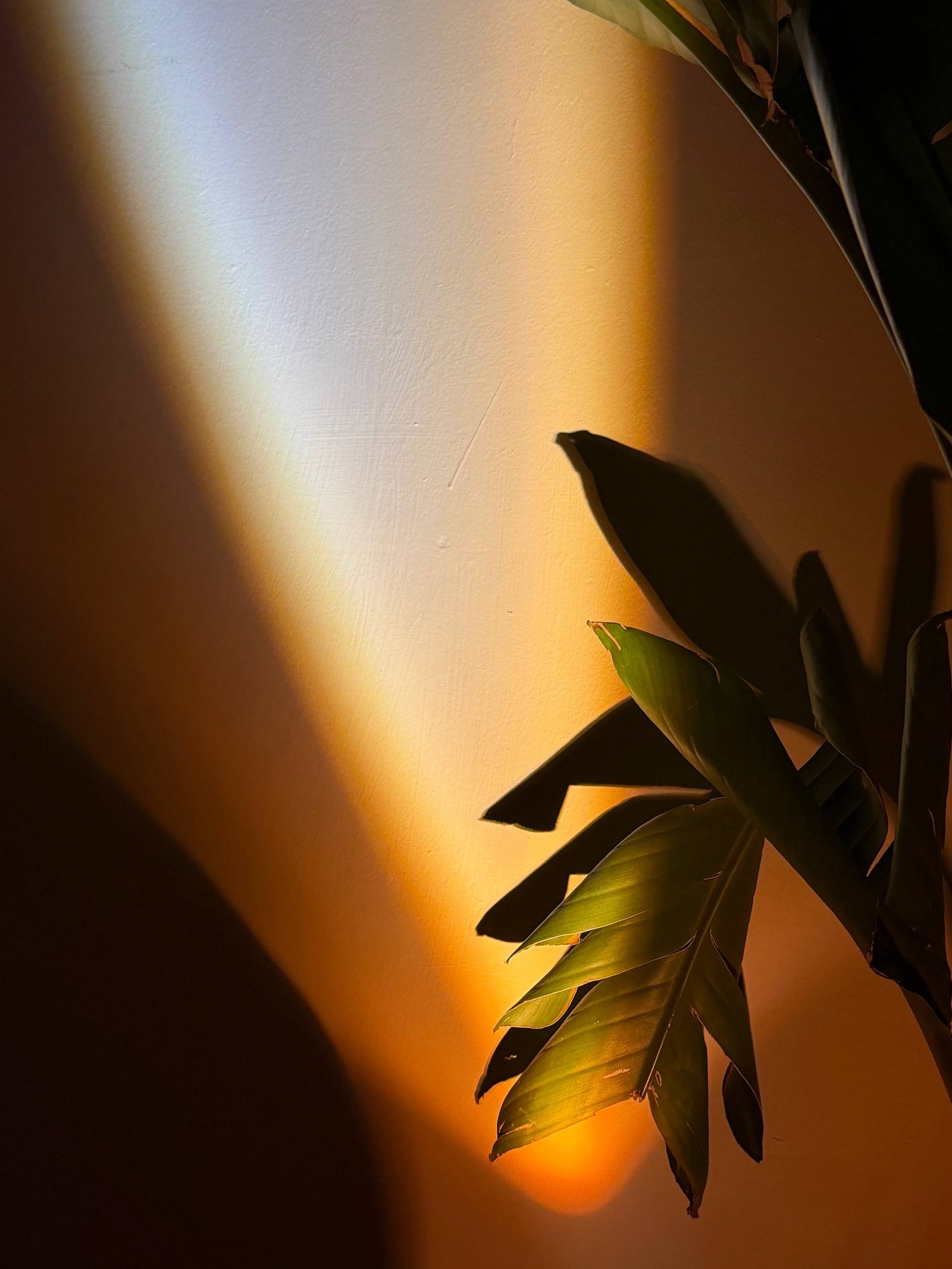 Light Object 1 - Image 2